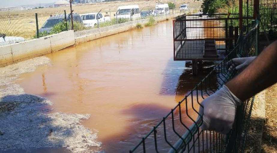 Sulama kanalına d&uuml;şen ikizler boğuldu