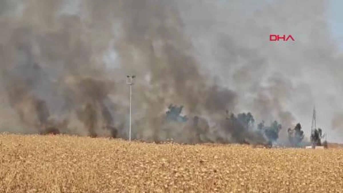 Suriye&rsquo;den T&uuml;rkiye&rsquo;ye sı&ccedil;rayan anız yangını s&ouml;nd&uuml;r&uuml;ld&uuml;