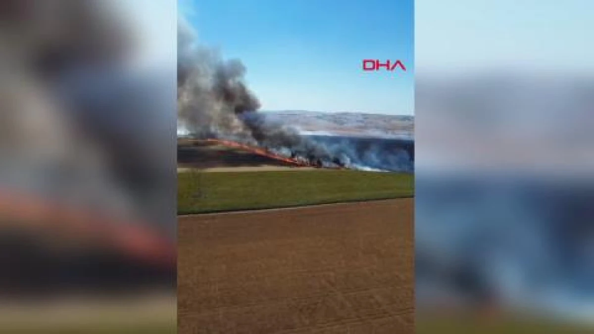 Tekirdağ'da yangında 300 dekar tarım alanı zarar g&ouml;rd&uuml;