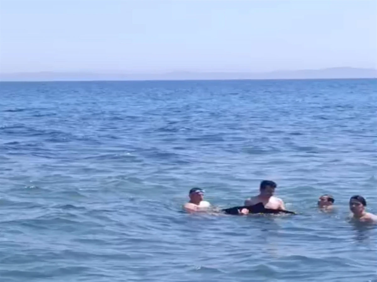 Tekirdağ'da yavru yunus y&uuml;zenlerin yanına geldi