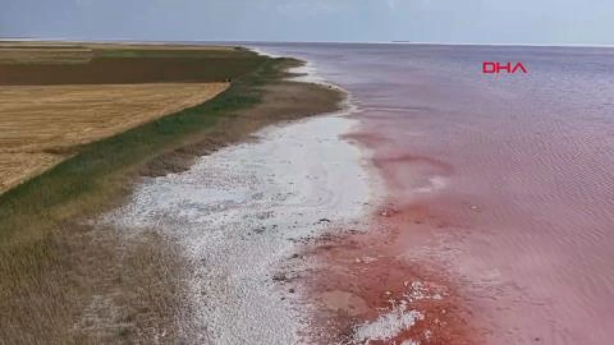 Tuz G&ouml;l&uuml;, pembe rengini aldı