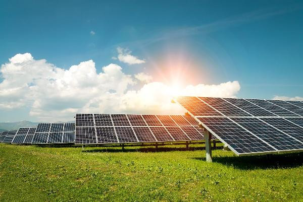 Ulusal bal markası, 501 kilowatt kapasiteli güneş enerjisi santralı kurdu 