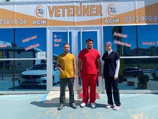 Veteriner kliniğine giren hırsız kameralara yakalandı