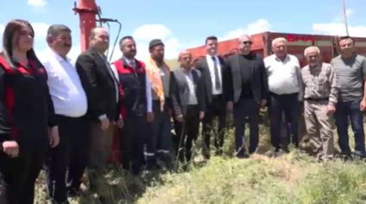 Yem şalgamında ilk hasat