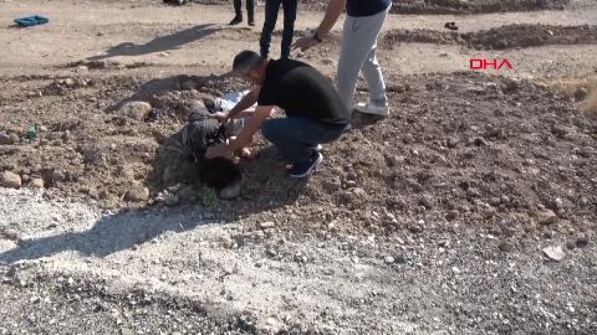 YKS'ye giderken kaza yaptılar: 1 ölü, 3 ağır 10 yaralı
