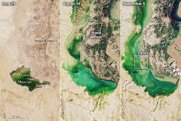 Pakistan’da taşan Manchar Gölü kontrol altına alınmaya çalışılıyor