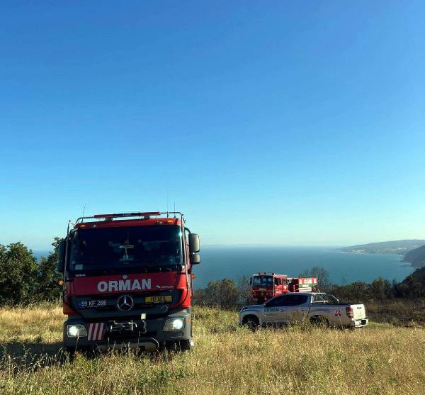 Piknik ateşleri yüzünden orman yangını çıktı